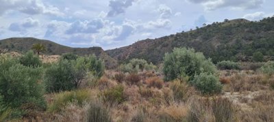 129264107560303261259018