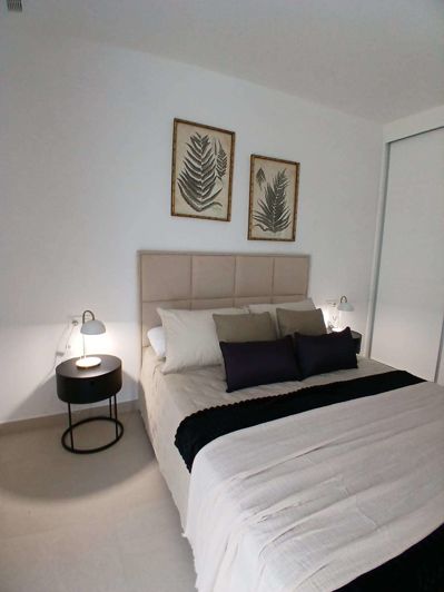 Image No.11-3 Bed Quad for sale