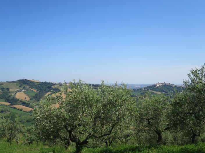 Image No.18-Maison de campagne de 6 chambres à vendre à Cellino Attanasio