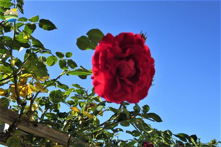 Image No.17-4 Bed Country House for sale