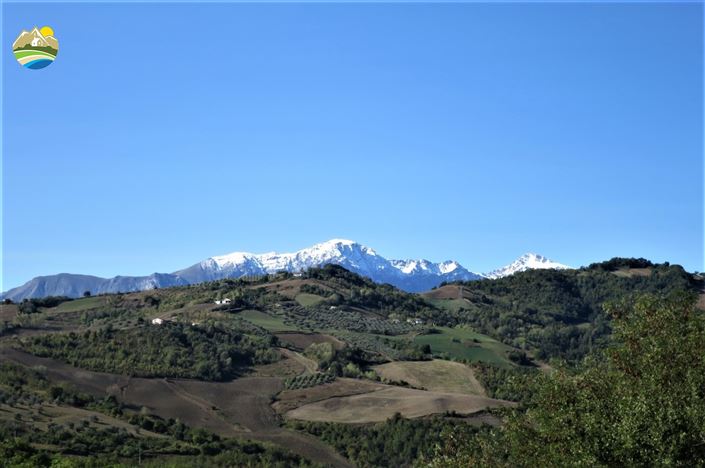 Image No.3-4 Bed Country House for sale