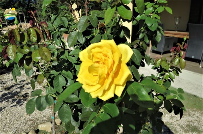 Image No.8-4 Bed Country House for sale