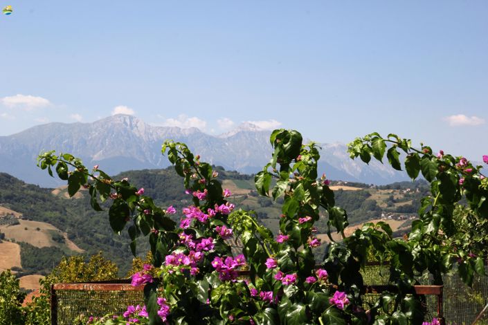 Image No.31-Maison de ville de 6 chambres à vendre à Cellino Attanasio