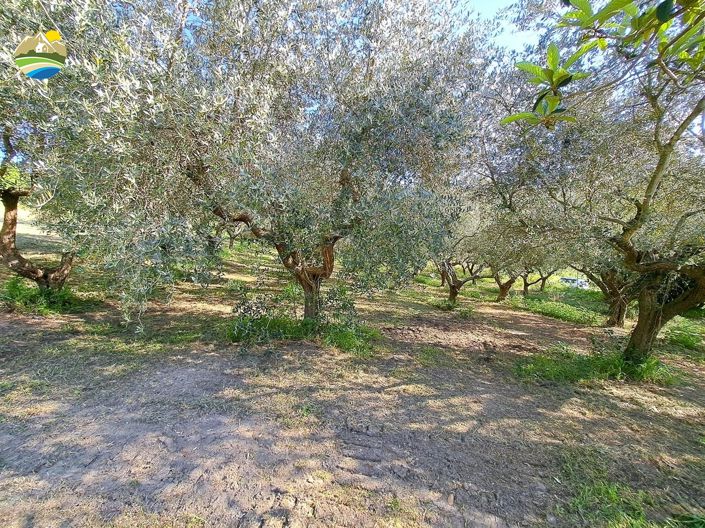 Image No.31-4 Bed Country House for sale