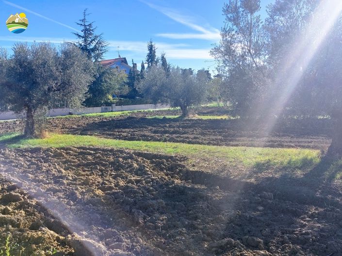 Image No.13-Land for sale