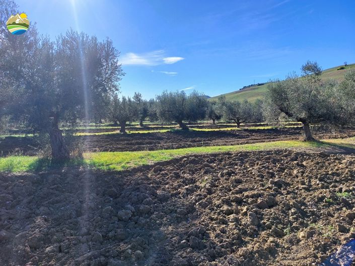 Image No.15-Land for sale