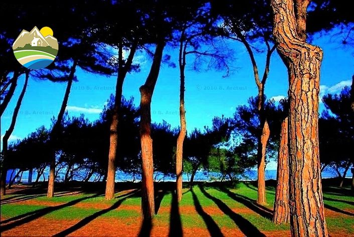 Image No.12-Land for sale