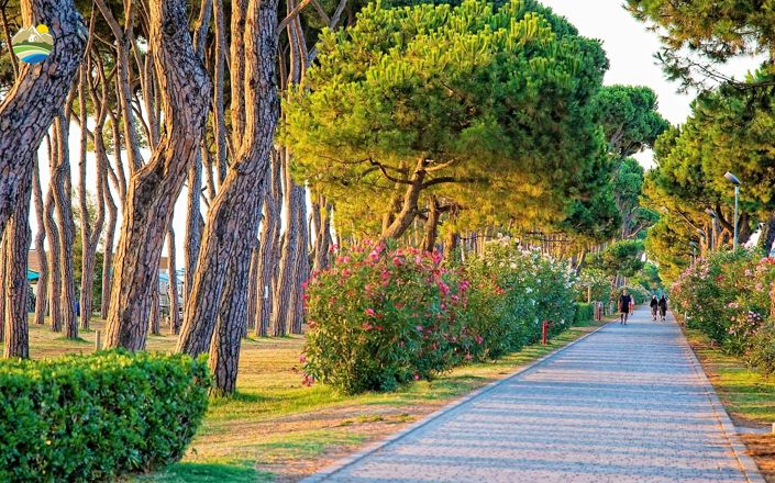 Image No.14-Land for sale