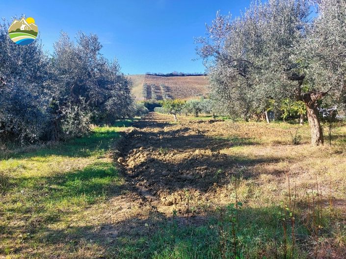 Image No.9-Land for sale