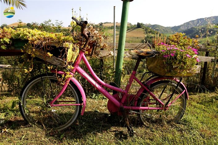 Image No.34-4 Bed Country House for sale