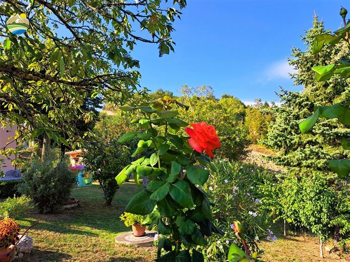 Image No.17-Maison de campagne de 2 chambres à vendre à Arsita