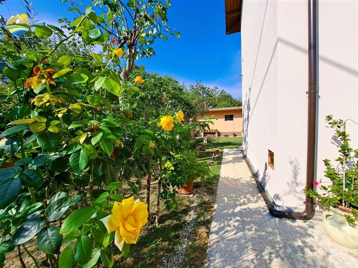 Image No.18-Maison de campagne de 2 chambres à vendre à Arsita