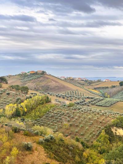 Image No.16-4 Bed Country House for sale