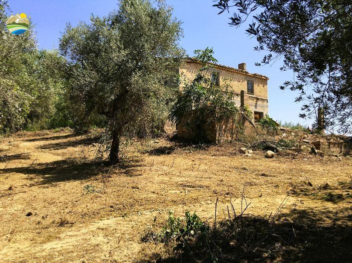 Image No.11-Maison de campagne de 4 chambres à vendre à Castilenti