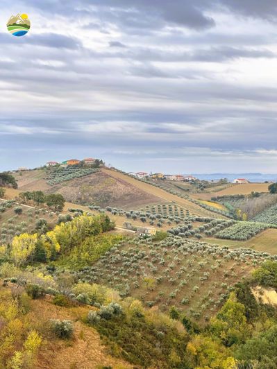 Image No.16-Maison de campagne de 4 chambres à vendre à Castilenti
