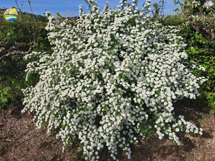 Image No.31-3 Bed Country House for sale