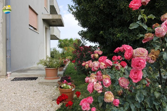 Image No.3-Maison de campagne de 6 chambres à vendre à Castilenti