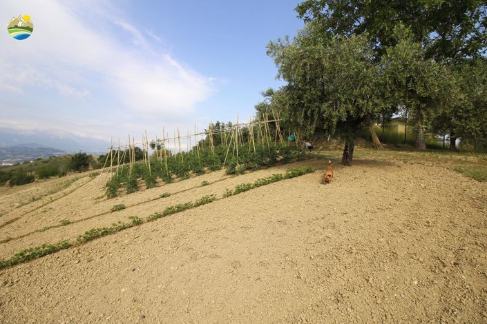 Image No.35-6 Bed Country House for sale