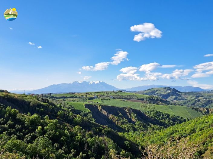 Image No.7-2 Bed Country House for sale