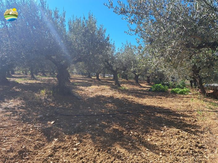 Image No.33-Villa de 3 chambres à vendre à Collecorvino