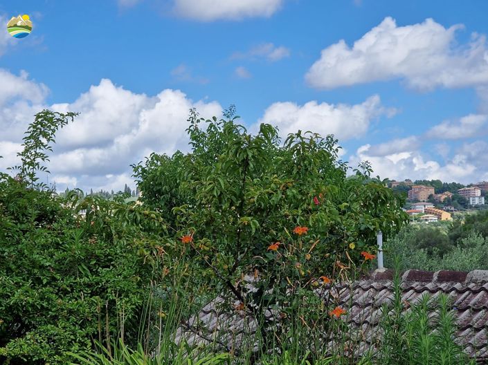 Image No.25-Maison de campagne de 6 chambres à vendre à Penne