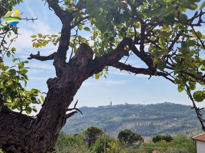 Image No.42-3 Bed Country House for sale