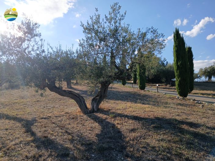 Image No.46-3 Bed Country House for sale