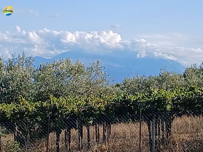 Image No.50-3 Bed Country House for sale