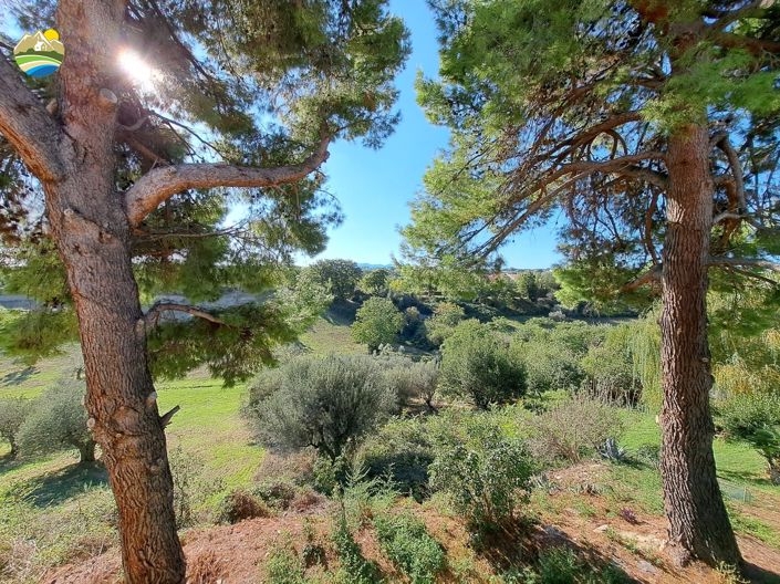 Image No.28-5 Bed Villa for sale