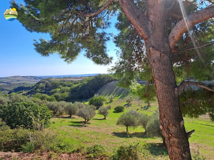 Image No.29-5 Bed Villa for sale