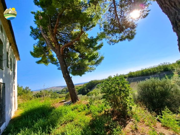 Image No.9-5 Bed Villa for sale