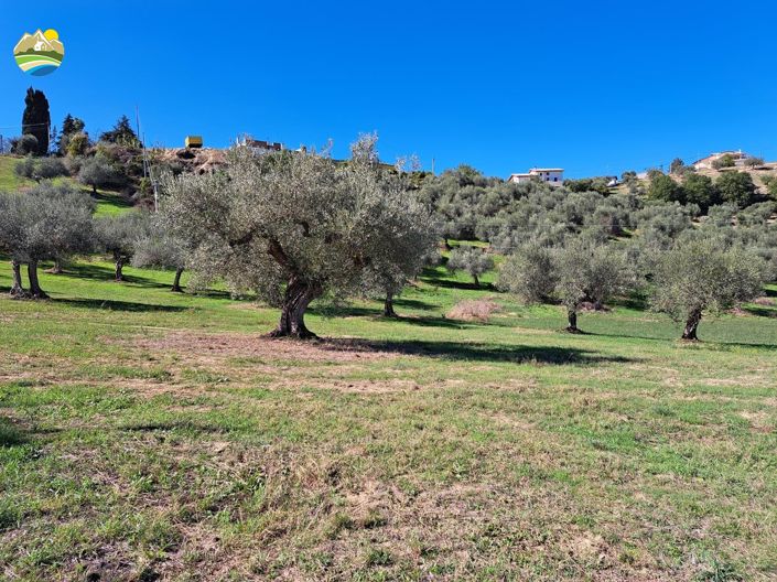 Image No.18-Maison de campagne de 3 chambres à vendre à Picciano