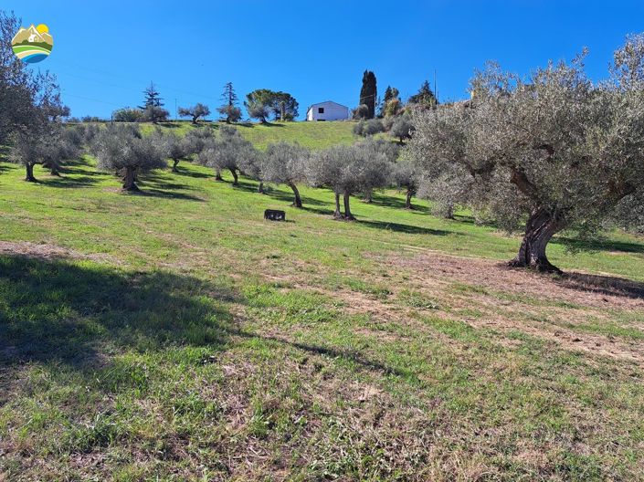 Image No.20-Maison de campagne de 3 chambres à vendre à Picciano
