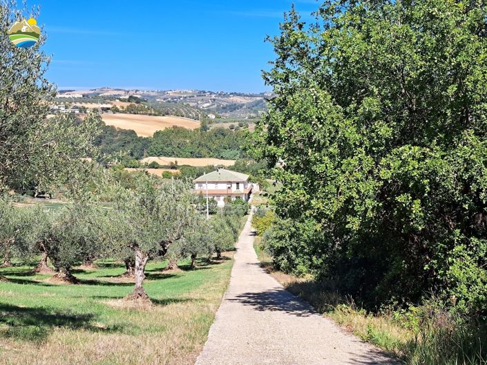 Image No.21-Maison de campagne de 3 chambres à vendre à Picciano