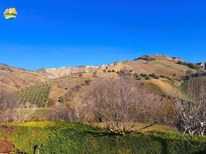 Image No.32-4 Bed Country House for sale