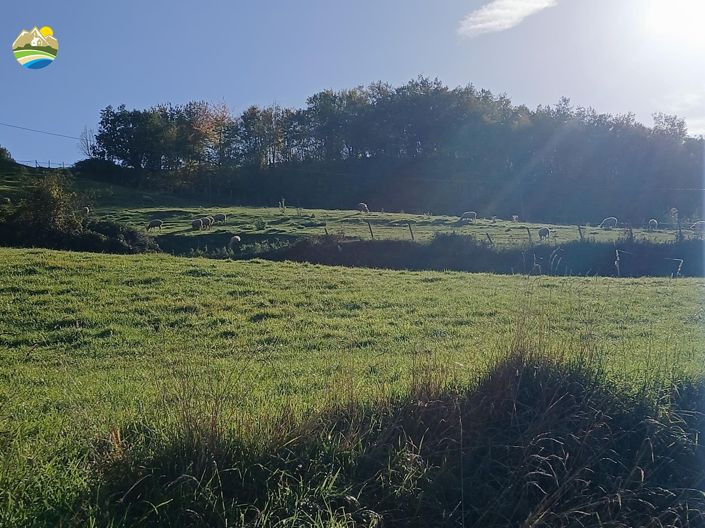 Image No.45-Maison de campagne de 4 chambres à vendre à Arsita