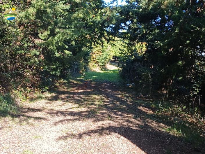 Image No.6-Maison de campagne de 4 chambres à vendre à Arsita