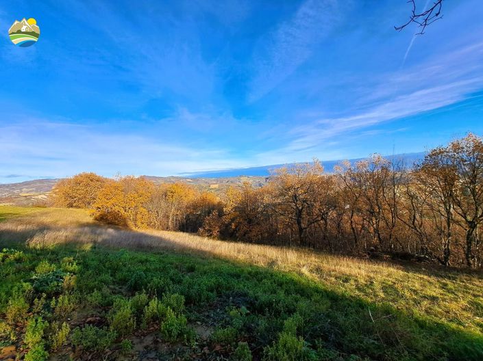 Image No.10-2 Bed Cottage for sale