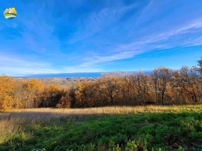 Image No.13-2 Bed Cottage for sale