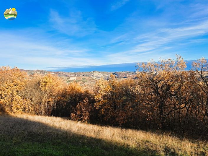 Image No.8-2 Bed Cottage for sale