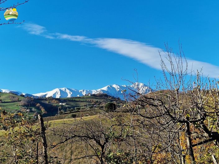 Image No.14-4 Bed Country House for sale