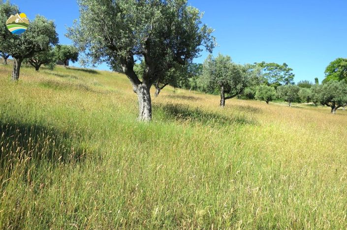 Image No.11-2 Bed Land for sale