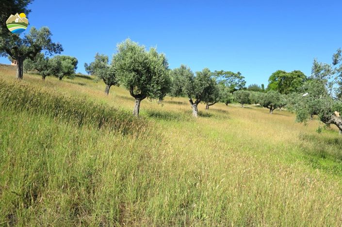 Image No.13-2 Bed Land for sale