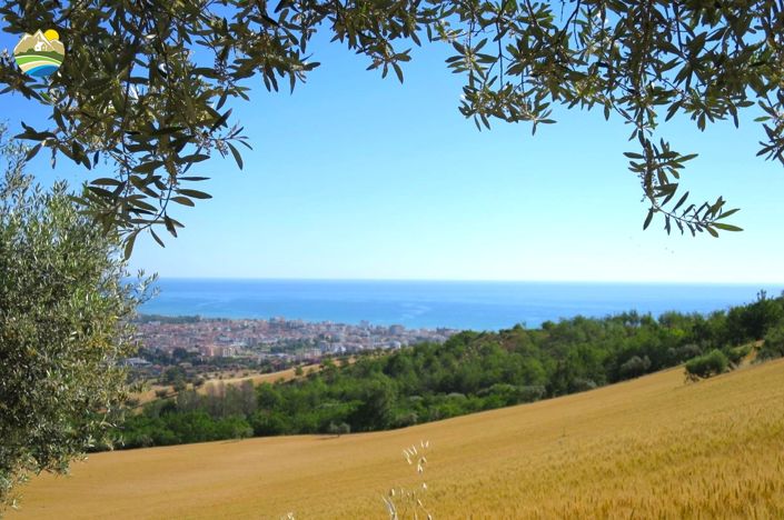 Image No.14-2 Bed Land for sale