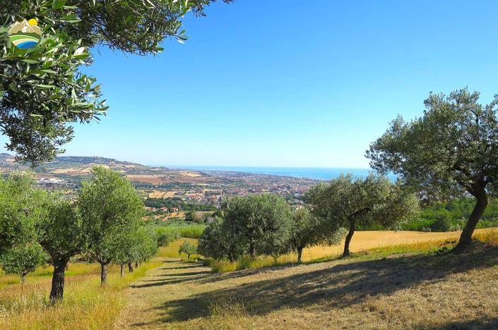 Image No.15-2 Bed Land for sale