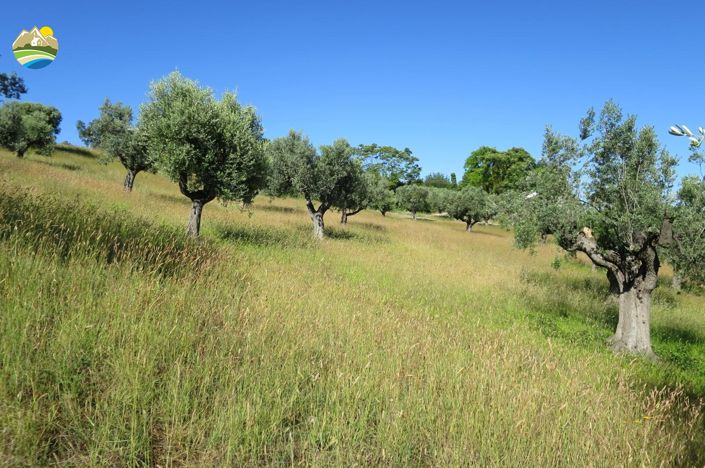 Image No.9-2 Bed Land for sale