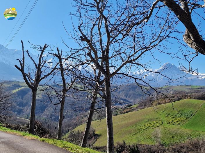 Image No.24-3 Bed Country House for sale