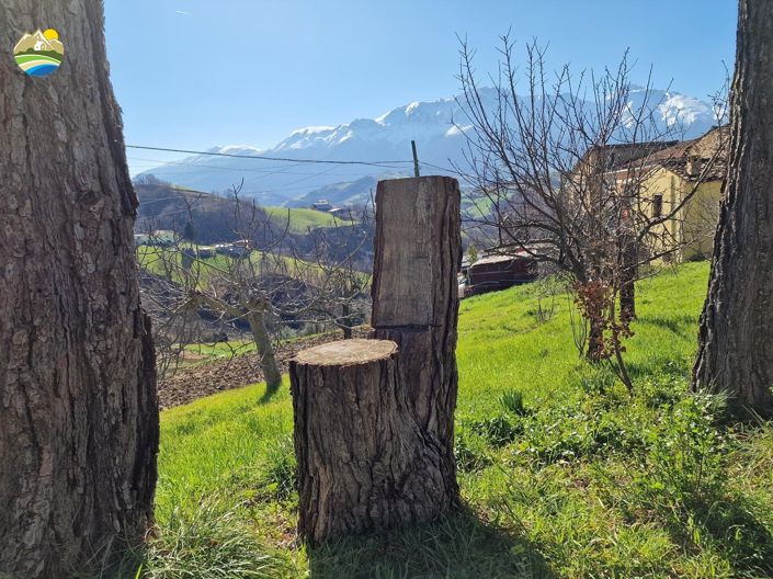 Image No.27-3 Bed Country House for sale