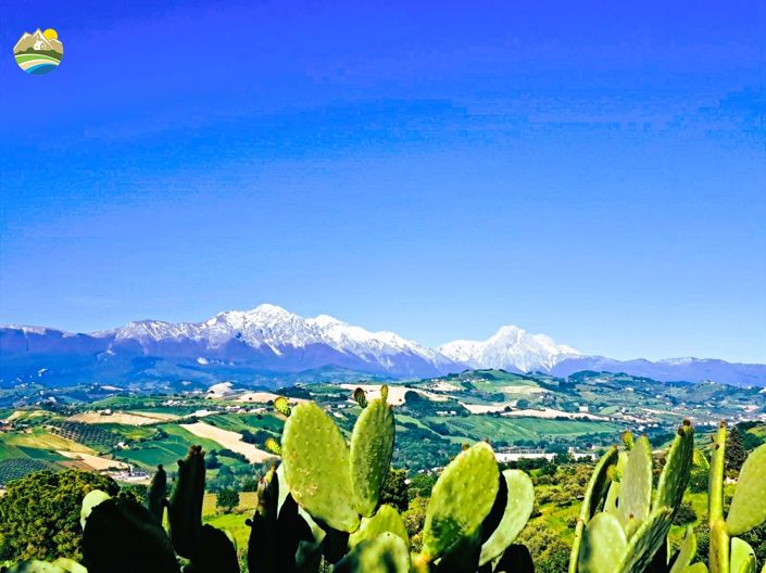 Image No.4-3 Bed Country House for sale