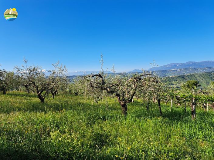 Image No.31-3 Bed Country House for sale